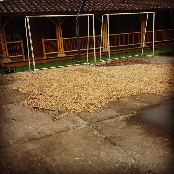 Vila Finca El Diamante Calarcá Exteriér fotografie