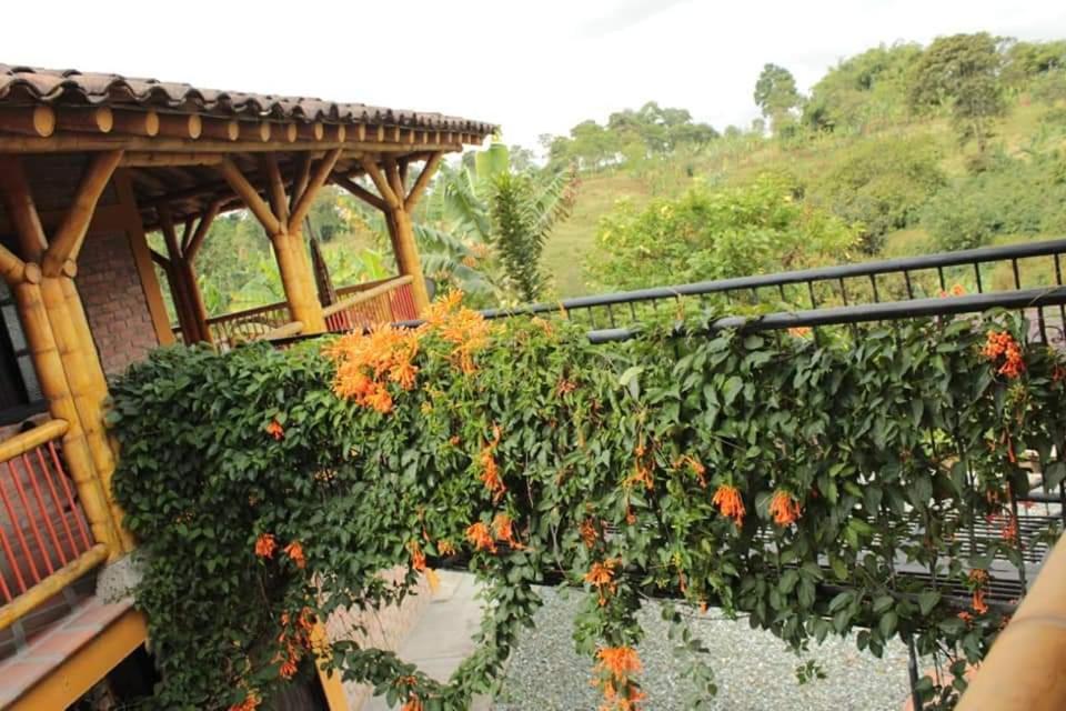 Vila Finca El Diamante Calarcá Exteriér fotografie