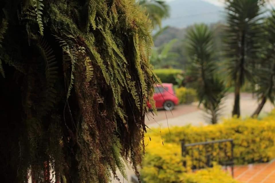 Vila Finca El Diamante Calarcá Exteriér fotografie